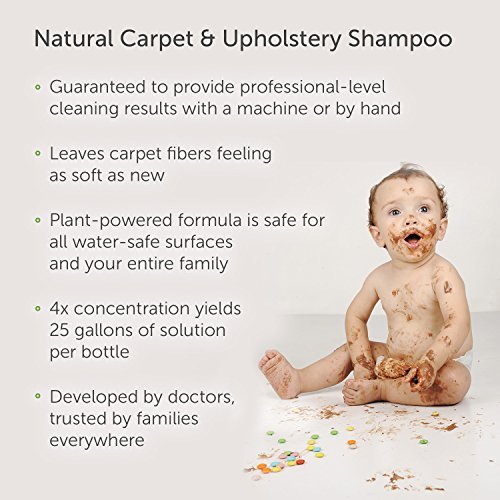 2 Puracy+Natural+Detergent+Professional+Deodorizer