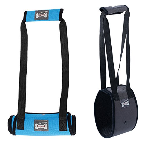Dog Lift Harness - Support Sling Helps Dogs with Weak Front or Rear Legs Stand Up, Walk, Get Into Cars, Climb Stairs. Best Alternative to Dog Wheelchair - Gray - S