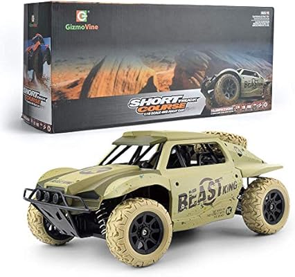 wireless remote control car price