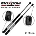 Maxpow Compatible With Mini Cooper 2002 2003 2004 2005 2006 2007 to 2014 Rear Hatch Liftgate Struts Lift Support 4360,Pack of 2 (Excluding Clubman & John Cooper Works Split Door)