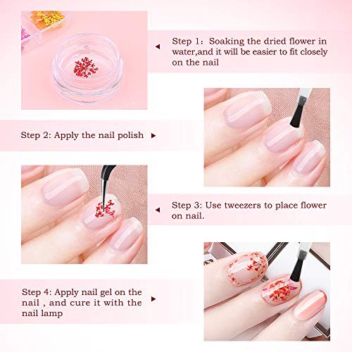 Nail Art Dried Flowers and Leaves 3D Nail Art Sticker Decals,24 Colors Natural Real Small Dried Flowers Nail Art Kit Decorations Supplies with Tweezer (2 Boxes)