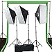 Fancierstudio 2400 watt lighting kit softbox light kit video lighting kit with Background stand 6'x9' Black, White and Chromakey green backdrop by Fancierstudio UL9004S3 6x9BWG
