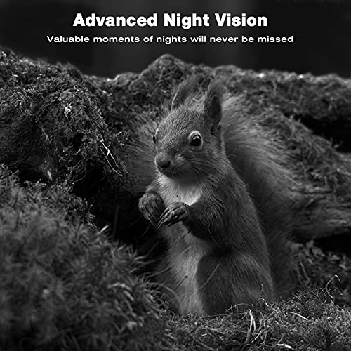 TOGUARD Trail Camera 4K Lite 24MP Game Camera Hunting Wildlife WiFi