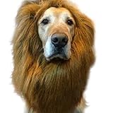 Lion Mane Costume, PanDaDa Dog Lion Wig for Dog Large Pet Holloween Christmas Festival Party Fancy Hair Dog Clothes