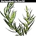 Full Body Acne Treatment & Defense Aromatherapy Dead Sea Bath Salts - 