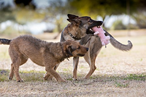 Scruffles Moose Dog Toy - Image 3