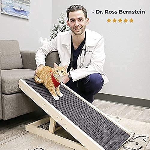 Alpha Paw ScratchyRamp 2in1 Cat Ramp & Cat Scratcher Pet Scratching