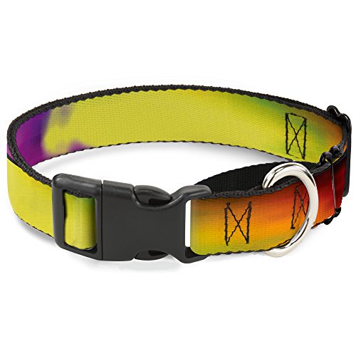 Buckle-Down Bd Psychedelic Martingale Dog Collar, 1" Wide-Fits 9-15" Neck-Small