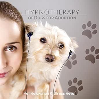 relaxing dog music for sleep