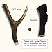 Antler Dog Chew from Pet Expertise, Large 6