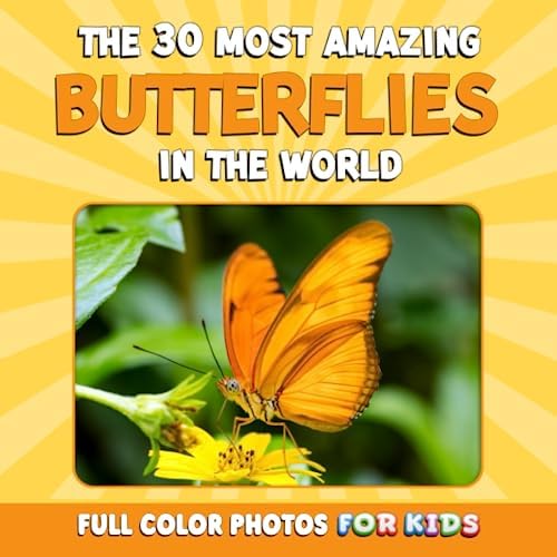 The 100 Most Beautiful Butterflies in the World: A minimalist