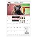 AT-A-GLANCE Wall Calendar 2017, Monthly,  15-1/2 x 22-3/4