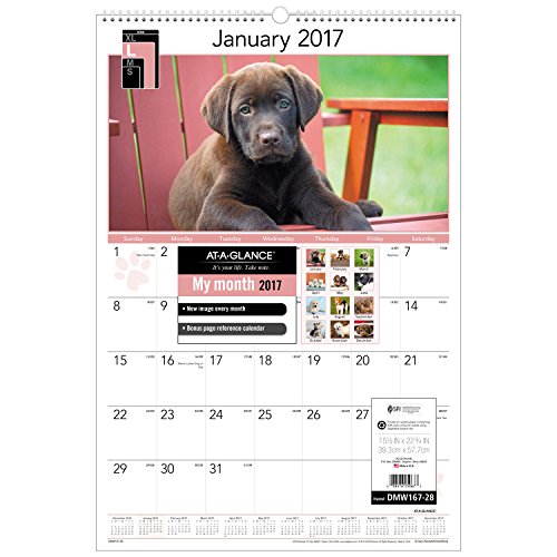 AT-A-GLANCE Wall Calendar 2017, Monthly,  15-1/2 x 22-3/4