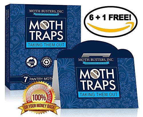 7 Pantry Moth Traps Safe Non Toxic Professional Pheromone Trap No