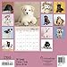 Rachael Hale Dogs Wall Calendar (2017)