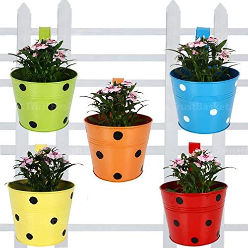 Trust basket Single Pot Railing Planter, Set of 5 (Red, Yellow, Blue, Orange, Green)