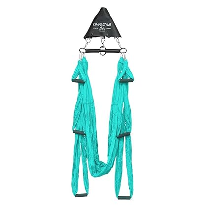 Amazon.com : OMNI GYM Omni Yoga Swing Original Plus Spring ...