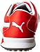 PUMA Men's Biofusion Spikeless Mesh Golf Shoe