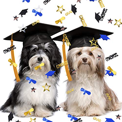 3 Boao+Graduation+Confetti+Decoration+Celebration