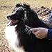 GEEPET Dematting Comb for Cat and Dog – Pet Groomer Rake Brush for Short Long or Matted Hair and Undercoat – Cutting and Removing Dead Matted or Knotted Hair