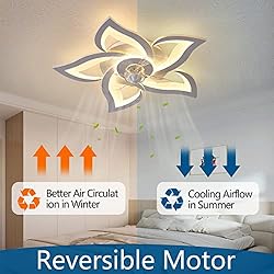 Dalouguan Flush Mount Ceiling Fan with