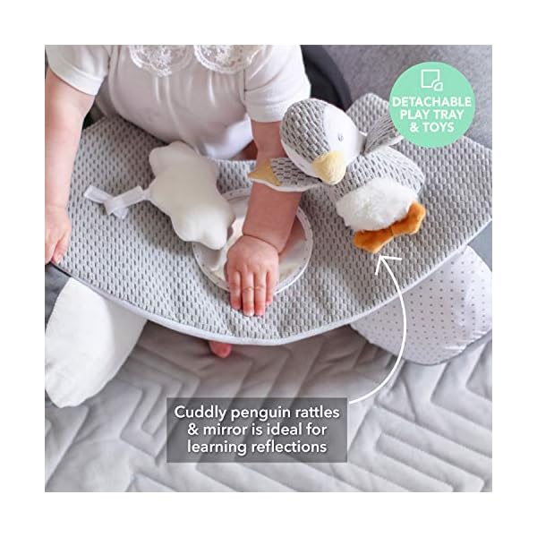 Nuby Penguin Sit-Me-Up Baby Seat. Inflatable Sit & Play Floor Seat With Tray And Baby Toys, 1 Count (Pack of 1)