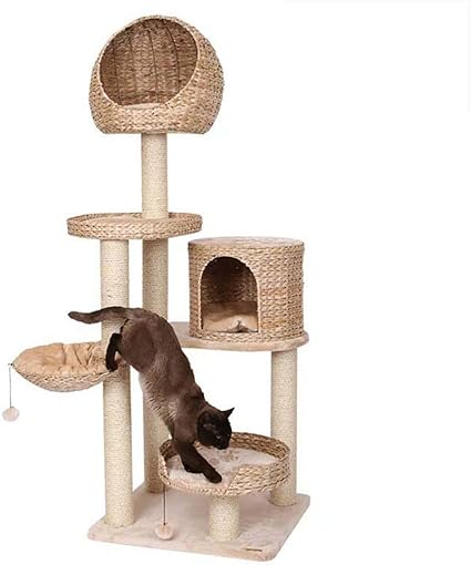 Djlookk Arbre A Chat Chat En Rotin Cadre D Escalade Grande Chatte Chatte Sisal Litiere Arbre A Chat Chat Sautant Colonne Amazon Fr Cuisine Maison