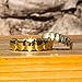 TSANLY Gold Grillz 6 Teeth Mouth 24K Plated Gold Top & Bottom Grills Caps Set for Son + Extra Molding Bars + Microfiber Cloth