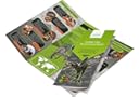 LIFELIKO Spinosaurus Action Figure Dinosaur Toy