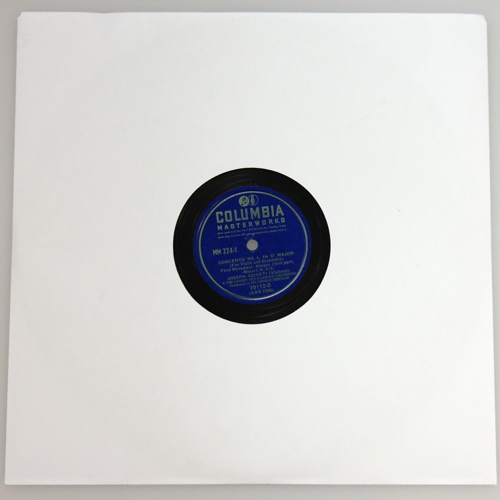 Acid-Free Heavy Paper Record Sleeves (20 Pack)