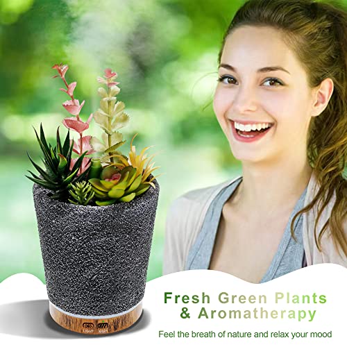 TAOYANG Essential Oil Diffuser, 150ml Artificial Succulent Potted Oil