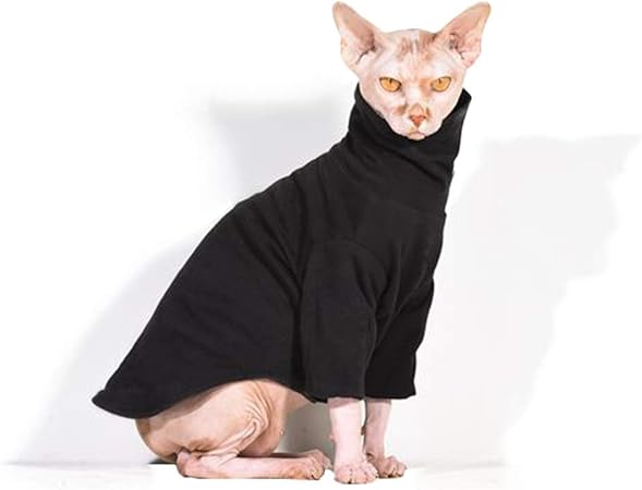 kitten clothes amazon