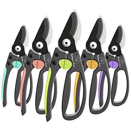 Rainbow Craft 8” Bypass Pruner Shear, Rose Cutters, Herbs Scissors, Plant Trimming Shears for Garden&Lawn – Green Color