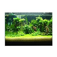 VANKOA Clear View Aquarium Background Sticker, 3D Printing Single Sided Wallpaper - Fish Tank Decorative Pictures Underwater Image Decor - 122x61cm