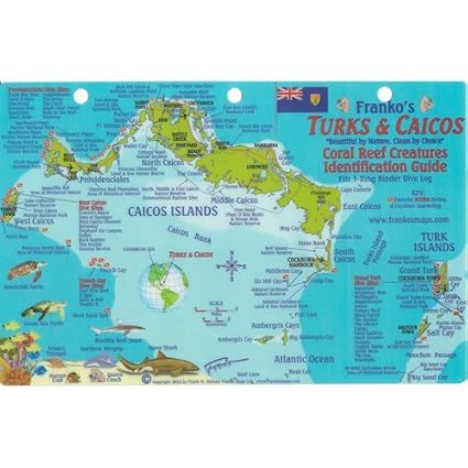Frankosmaps Turks And Caicos Mini Map Reef Creatures Identification Guide Fish Id #turks #and #caicos #resorts Frankosmaps Turks And Caicos Mini Map Reef Creatures Identification Guide Fish Id