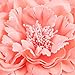 Hair Flower Clips Brooch Boutique Hair Accessories Bohemia Hairpins for Women Girls (Pink) 1 Count (Pack of 1)