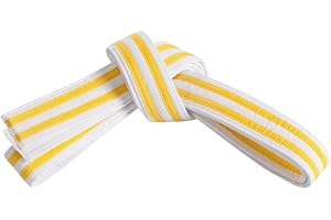 MASTERY MARTIAL ARTS Mastery Little Dragons