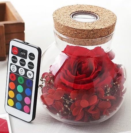 Neilshop Handmade Preserved Rose Flowers, led light Never Withered Fresh Rose Fresh Flowers Eternal Life Flowers Gift Valentine's Day, Mother's Day, Anniversary, Birthday, wedding -red