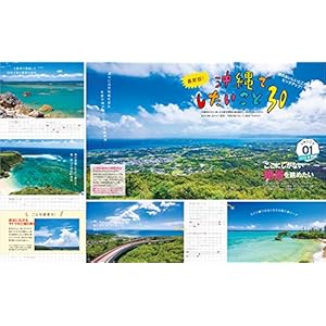 Globe Trotter MOOK handy Okinawa Trotter 2017-18 (Globe Trotter Mook)