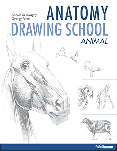 Pdf Download Anatomy Drawing School Animal Rwalihimhã®ãã­ã°