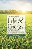 The Anatomy of Life and Energy in Agriculture