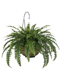 Amazon.com: House of Silk Flowers Artificial Laguna ...