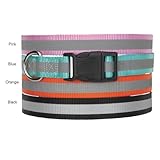 Guardian Gear Reflective Dog Collar, Fits Necks 18