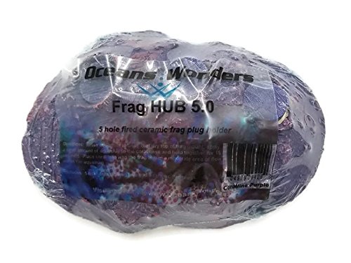 Oceans Wonders Coralline Purple Frag Hub 5.0 Coral Frag Plug Holder 5 Plugs
