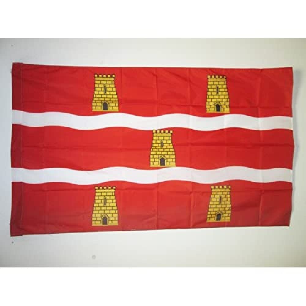 AZ FLAG - Department of Deux-Sèvres Flag - 3x5 Ft - Deux-Sevres Banner with Sleeve - 100% Polyester - Fade Resistant - Vivid Colors - 3' x 5' Feet - 150x90 Cm
