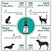 Kennel Cough Medicine for Dogs, Organic Dog Cough Medicine for Colds and Allergies - Natural Kennel Cough Treatment with Mullein Leaf and Elderberry