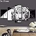 Smdoxi 5PCS Modern No Frame Canvas Painting Wall Art The Picture For Home Decoration Fantastic Wall Art (E)
