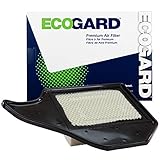 ECOGARD XA6165 Air Filter