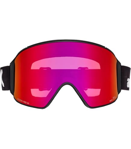 Amazon.com: Anon M4 Perceive Goggle Lens (Cylindrical), Perceive