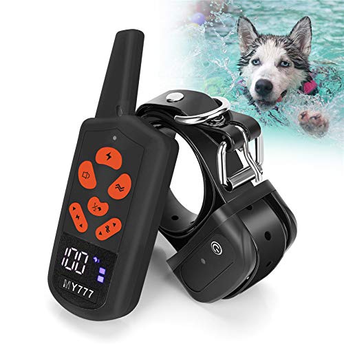 using e collar for correction